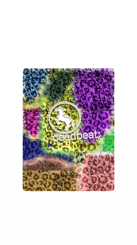 rainbow leather poster