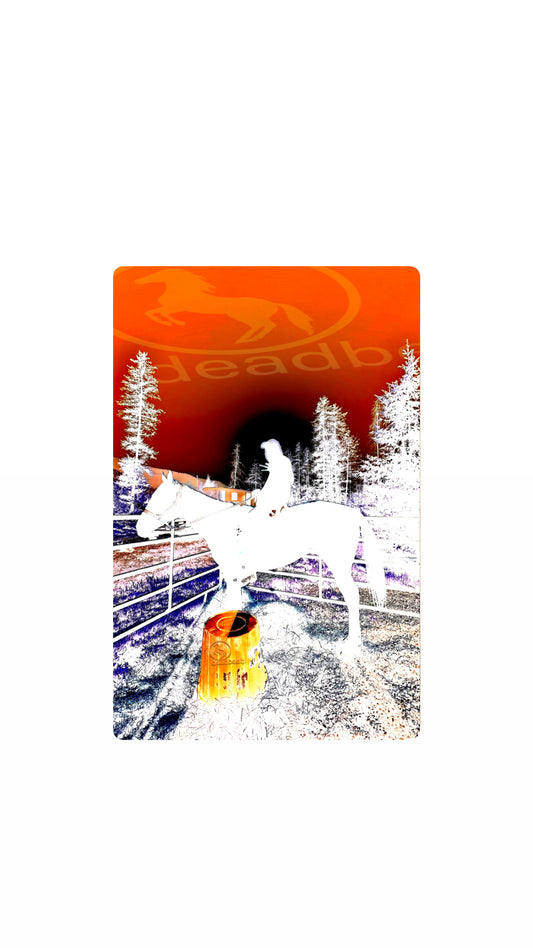 ‘sunset on the ranch’ poster